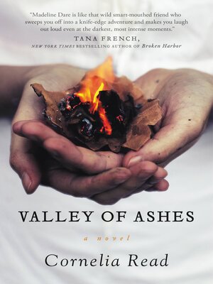 Valley of Ashes - ebook